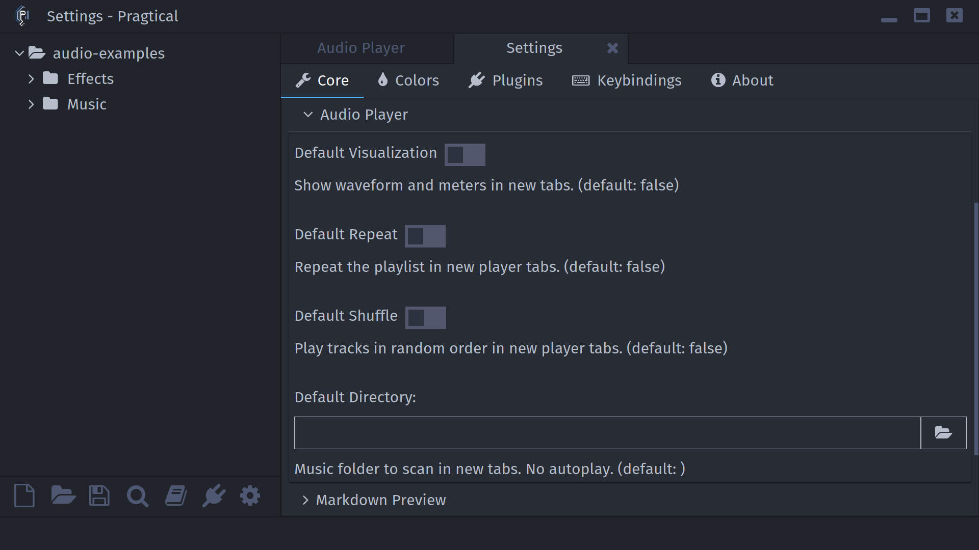 audio player settings panel